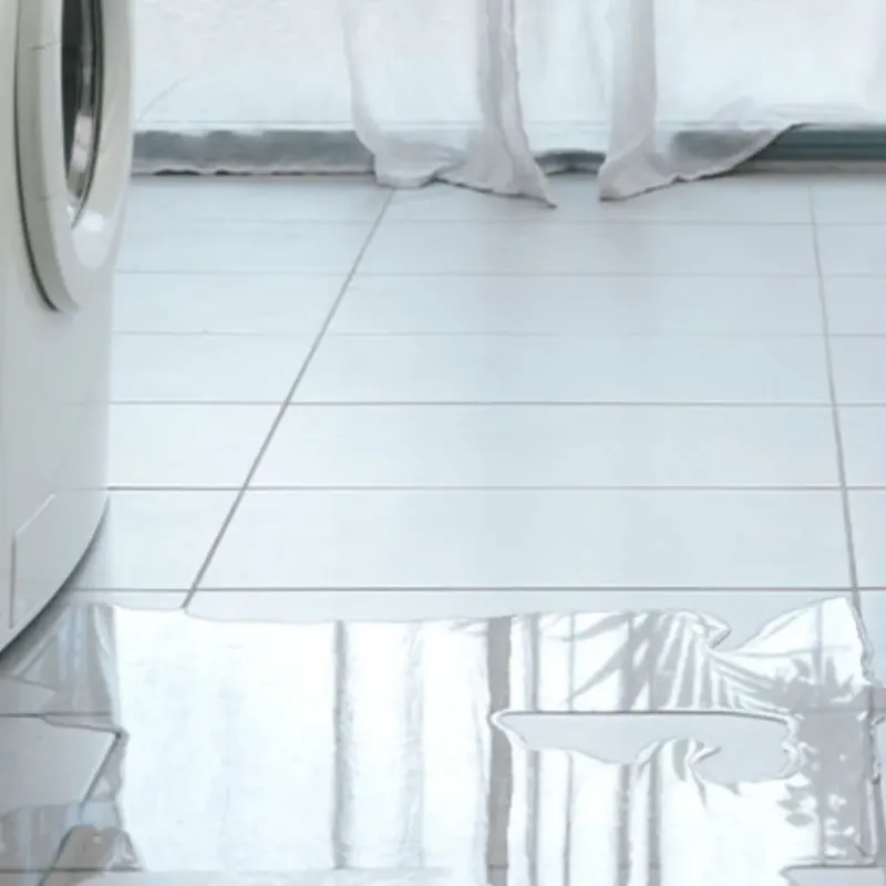 Appliance Leak Cleanup in Martindale, TX