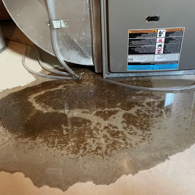 Pipe Burst and Leak Restoration in Martindale, TX