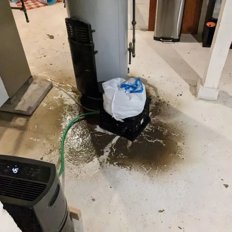Sewage Backup Cleanup Service in Martindale, TX